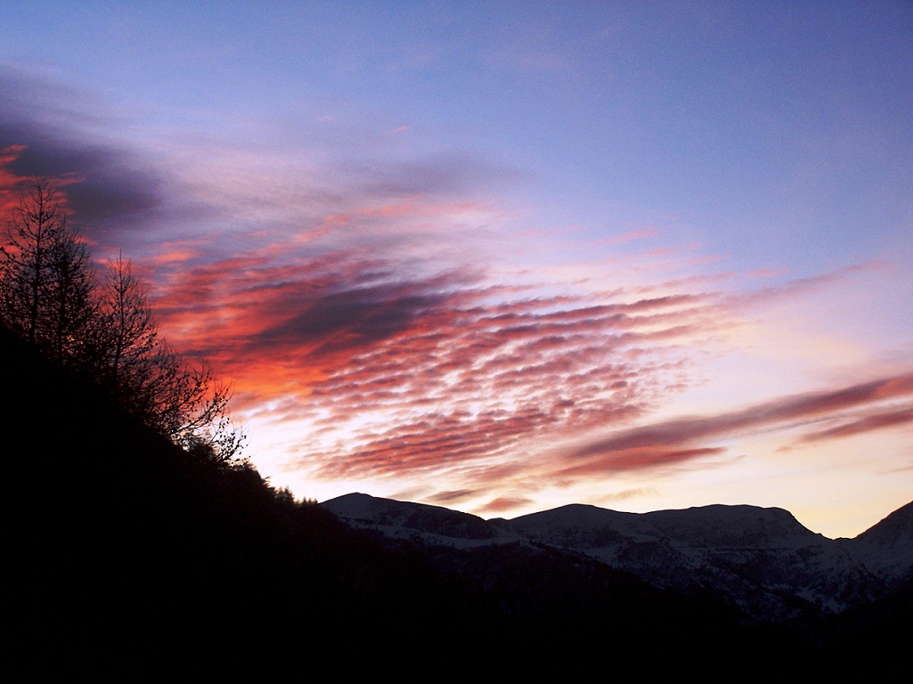 Alba